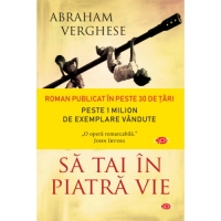 Sa tai in piatra vie