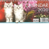 Calendar de birou imagini pisici 2020