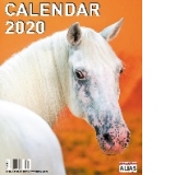 Calendar de perete 12+1 file Cai 2020