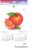 Calendar perete A3 policromie  Fructe pictate 2020