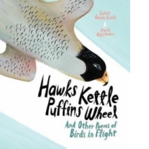 Hawks Kettle, Puffins Wheel