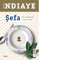 Sefa. Un roman culinar