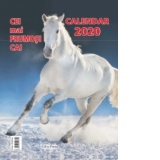 Calendar 2020. Cei mai frumosi cai