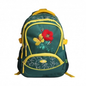 Ghiozdan adolescenti si scolari 61715 ECADA 46 cm