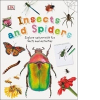 Insects and Spiders