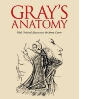 Grays Anatomy