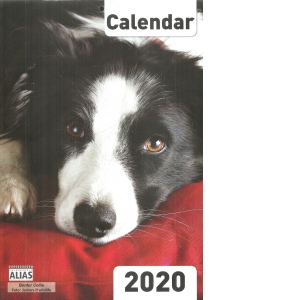 Calendar de perete, Caini A4, 2020