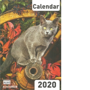 Calendar de perete, Pisici (A4) 2020