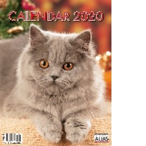 Calendar Pisici 2020 - format mare, de perete, spiralat, 12+1 file
