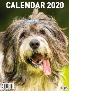 Calendar Caini 2020 - format mare, de perete, spiralat, 12+1 file