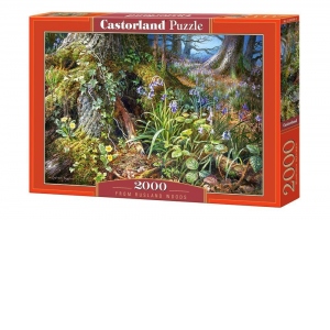 Puzzle Castorland 2000 piese In Padure