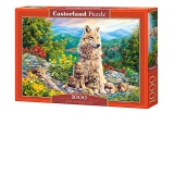Puzzle Castorland 1000 piese New Generation