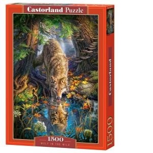 Puzzle Castorland 1500 piese Lup