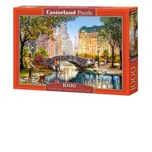 Puzzle 1000 piese Plimbare Seara in Central Park