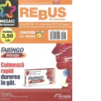 Rebus de Buzunar. Nr. 11/2019