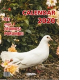 Calendar 2020. Cei mai frumosi porumbei