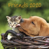 Calendar 2020 Friends 30 x 30 cm