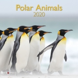 Grid Calendar 2020 Polar Animals 30 x 30 cm