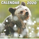Mini calendar capsat Pui de ursi 24+4 file 2020