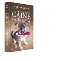 Drumul unui caine catre casa