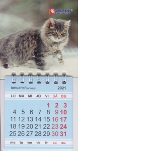 Calendar magnetic articulat S 2021, pisica