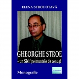 Gheorghe Stroe. Un Sisif pe muntele de cenusa. Monografie