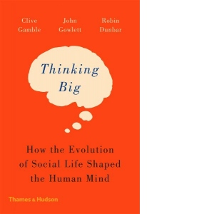 Thinking Big. How the Evolution of Social Life Shaped the Human Mind