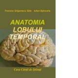 Anatomia lobului temporal