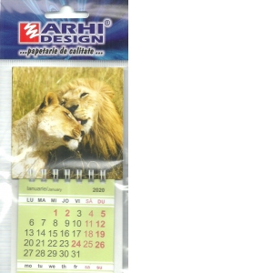 Calendar magnetic S 2020, lei