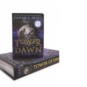Tower of Dawn Miniature Character Collection