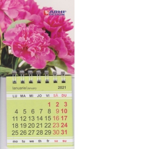 Calendar magnetic articulat S 2021