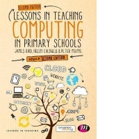 Lessons in Teaching Computing in Primary Schools