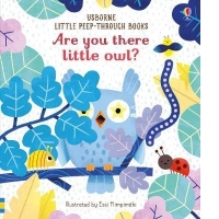 Are You There Little Owl?