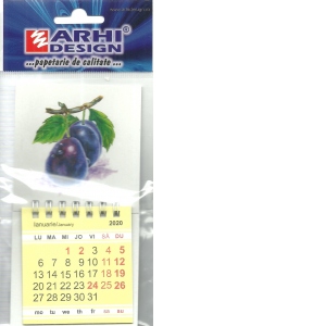 Calendar magnetic S 2020, prune