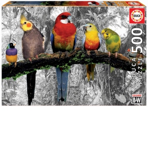 Puzzle 500 Birds on the jungle