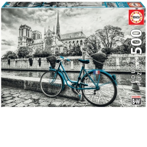 Puzzle 500 Bike near Notre Dame