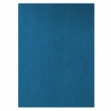 Coperta carton imitatie piele set 100 Ecada, albastru