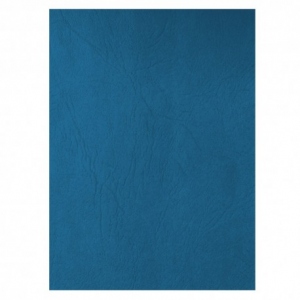 Coperta carton imitatie piele set 100 Ecada, albastru