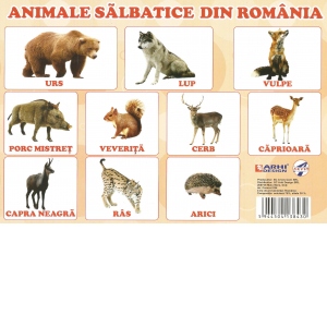 Plansa A4 Animale Salbatice din Romania
