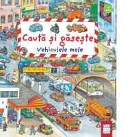 Cauta si gaseste. Vehiculele mele