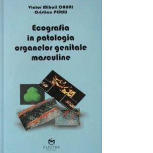 Ecografia in patologia organelor genitale masculine