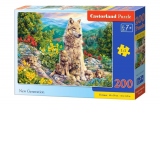 Puzzle 200 piese Lupi