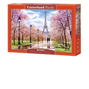 Puzzle 1000 piese Plimbare Romantica in Paris