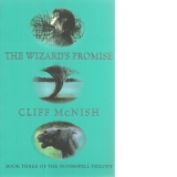 The Wizard s Promise