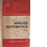 Analiza matematica - Aplicatii, Volumul I - Editia a II-a revazuta si adaugita
