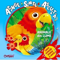 Atinge, simte, asculta - Animale din lume. Carte sonora, atinge si simte