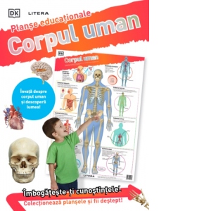 Corpul uman. Planse educationale