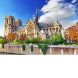 Puzzle - Cathedrale Notre-Dame de Paris, 1000 piese (70224)