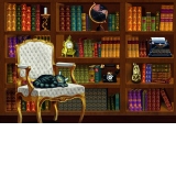 Puzzle – The Vintage Library, 1000 piese (70225)