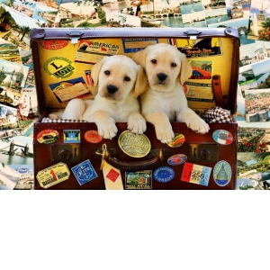 Puzzle - Two Travel Puppies, 1000 piese (70237-P)